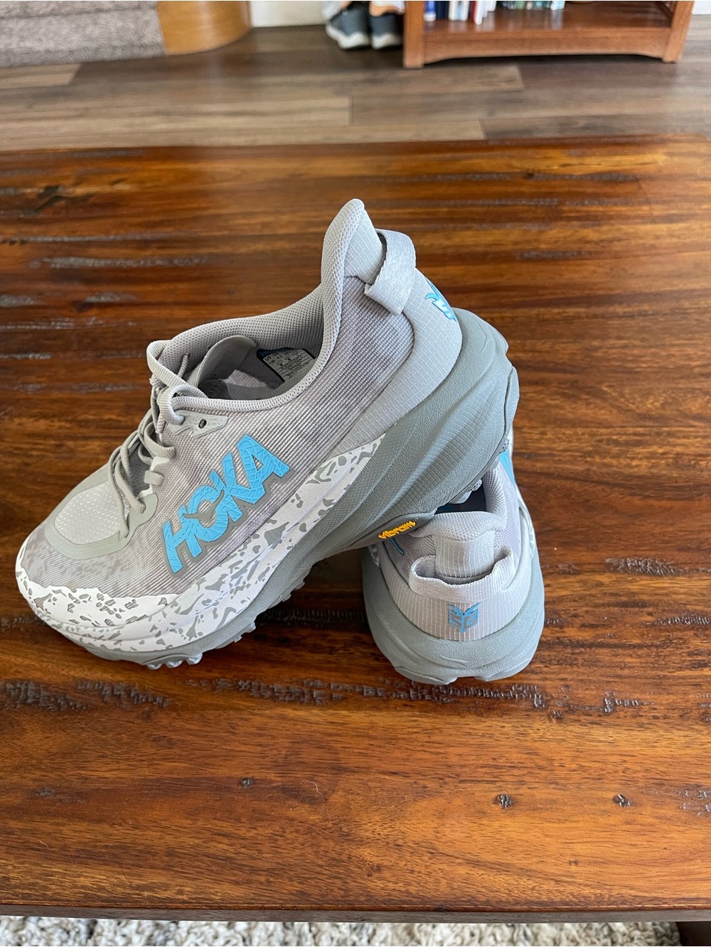 HOKA One One Women’s Speedgoat 6, Stellar Grey/Asteroid